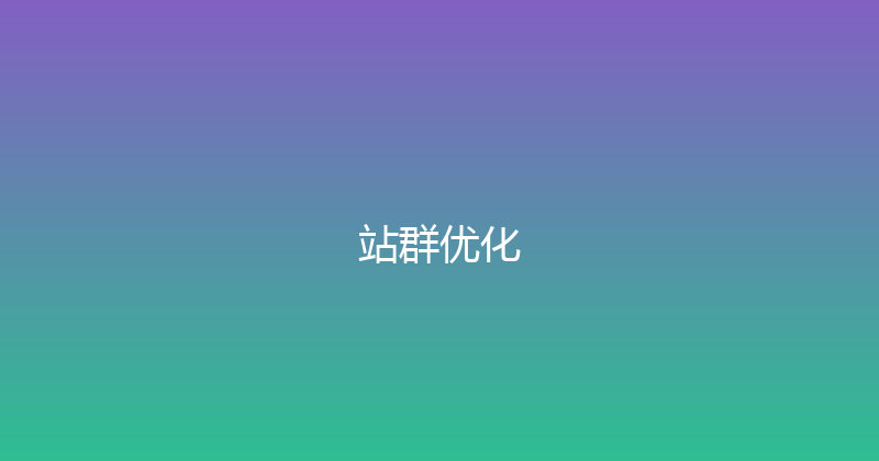 站群优化 封面图