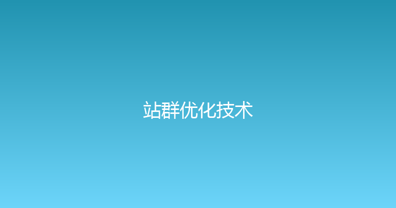 站群优化技术 封面图