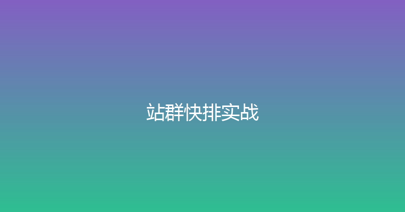 站群快排实战 封面图