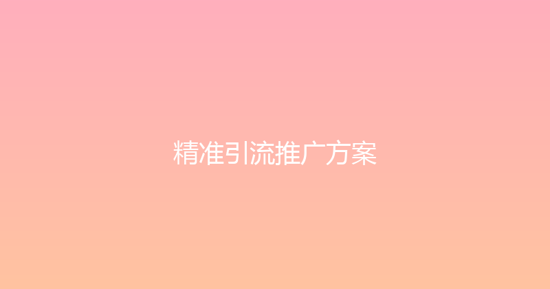 精准引流推广方案 封面图