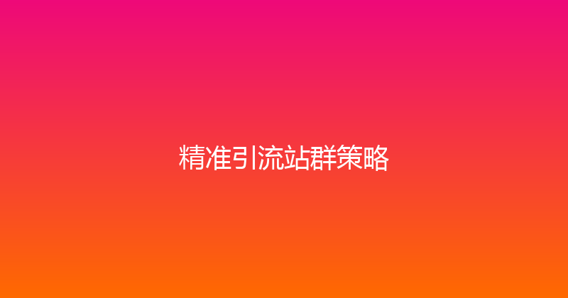 精准引流站群策略 封面图