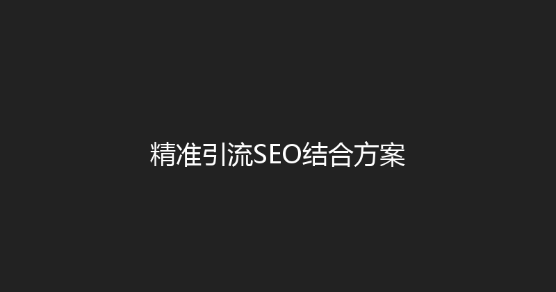 精准引流SEO结合方案 封面图