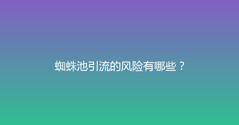 蜘蛛池引流的风险有哪些？ 封面图